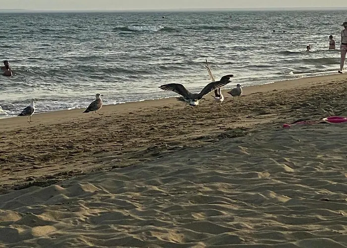 Sol Y Mar